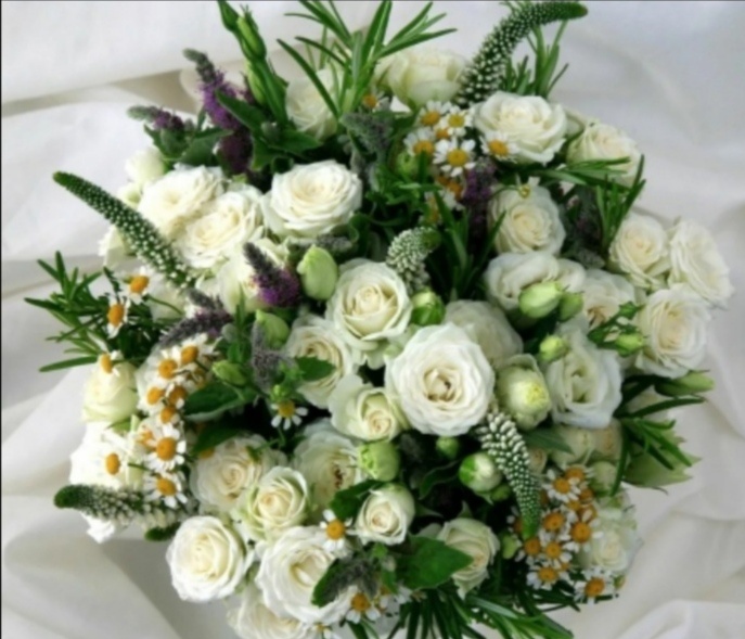 Открытка от Олеси - автора канала "Юмор на прикольных блогеров"