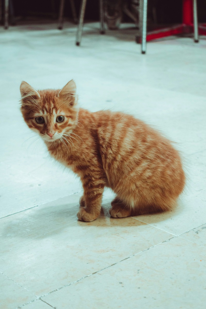    Фото несет иллюстративный характер