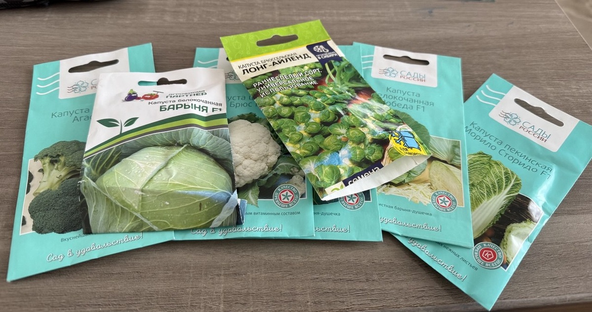 Семена капусты