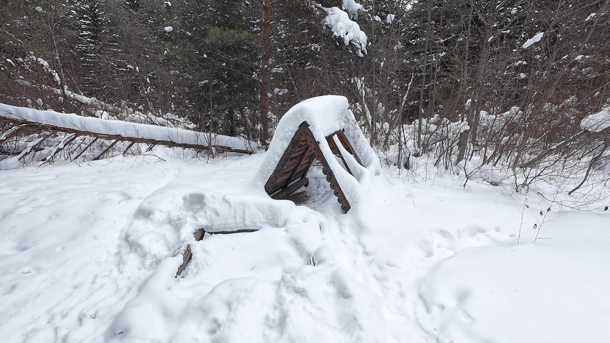 Заброшенный Родник лесника
