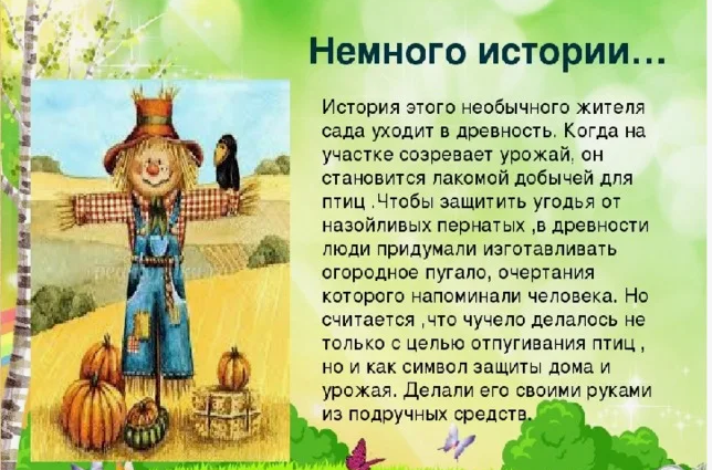 Фото взято из открытого доступа.