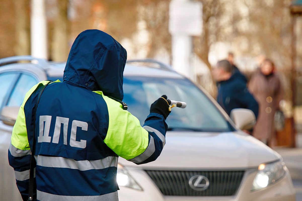    Фото: Tricky_Shark / Shutterstock.com