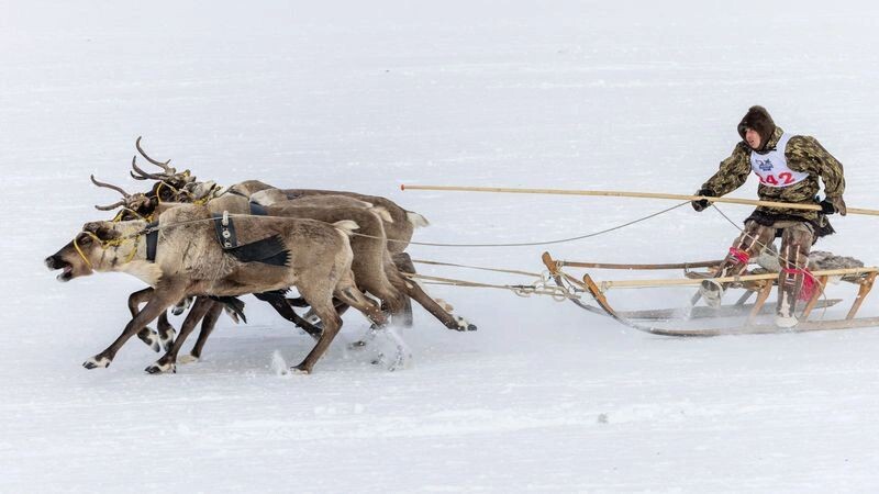    Фото: Федор Воронов/«Ямал-Медиа»