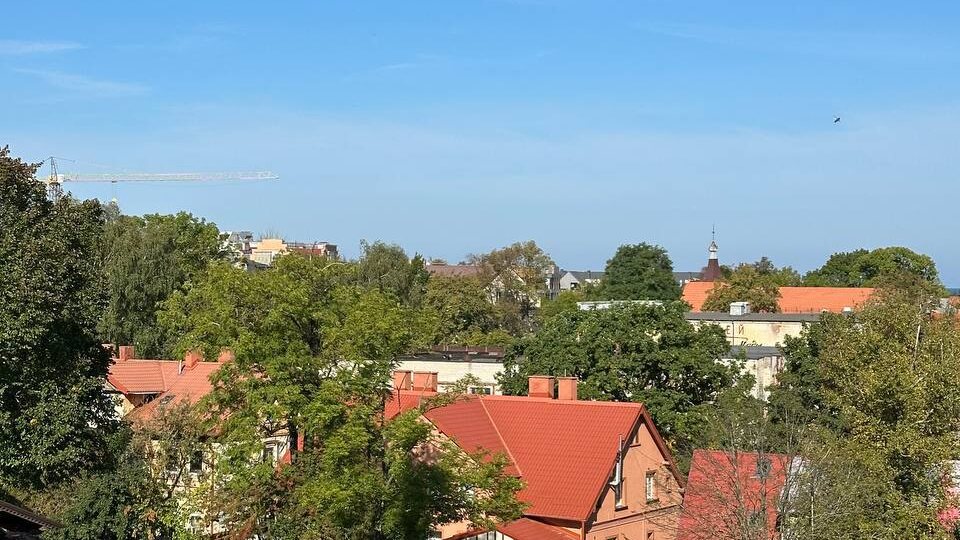 Когда лучше всего ехать в Калининград: плюсы и минусы каждого сезона