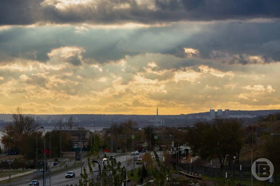    Фото: Дмитрий Рогулин/"Городские вести"
