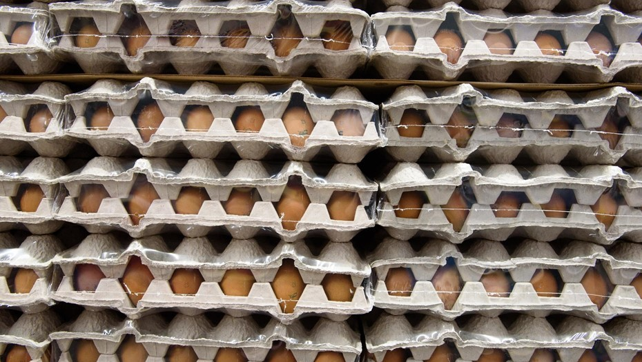 Автор фото: Ермохин Сергей