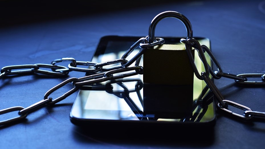 Автор фото: Unchalee Khun/Shutterstock/FOTODOM 