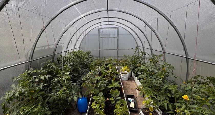    Первый городской канал Калининград