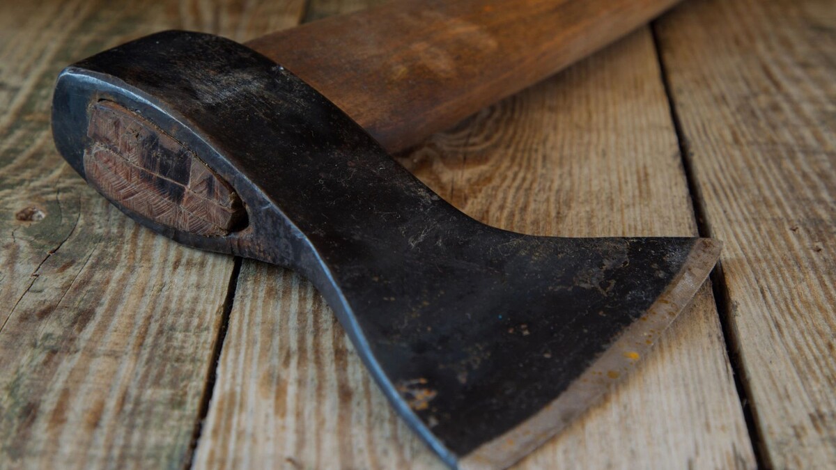    Фото: Aleksey Krylov / Shutterstock / Fotodom