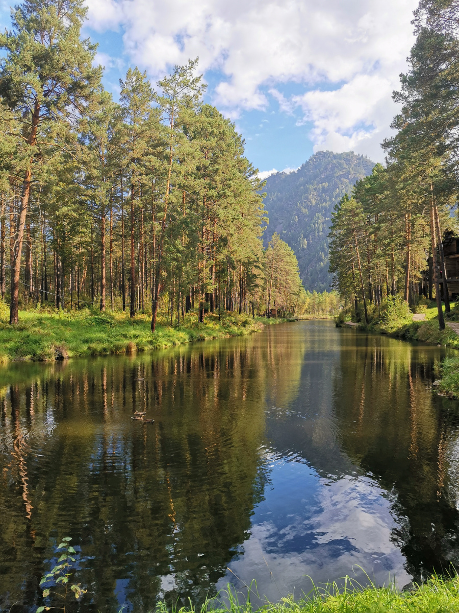 Фото автора. Горный Алтай.