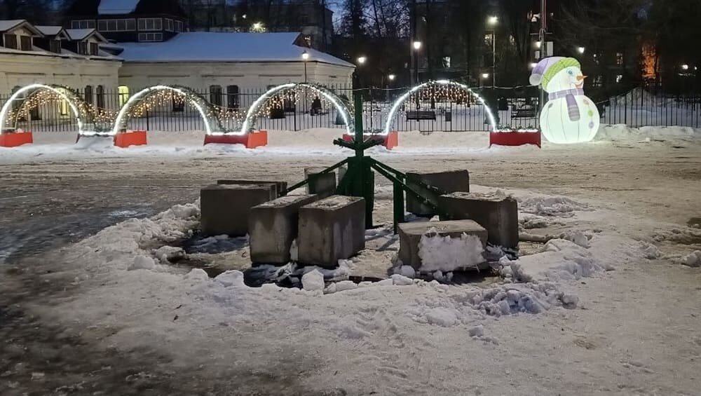    Фото: «Брянские новости»