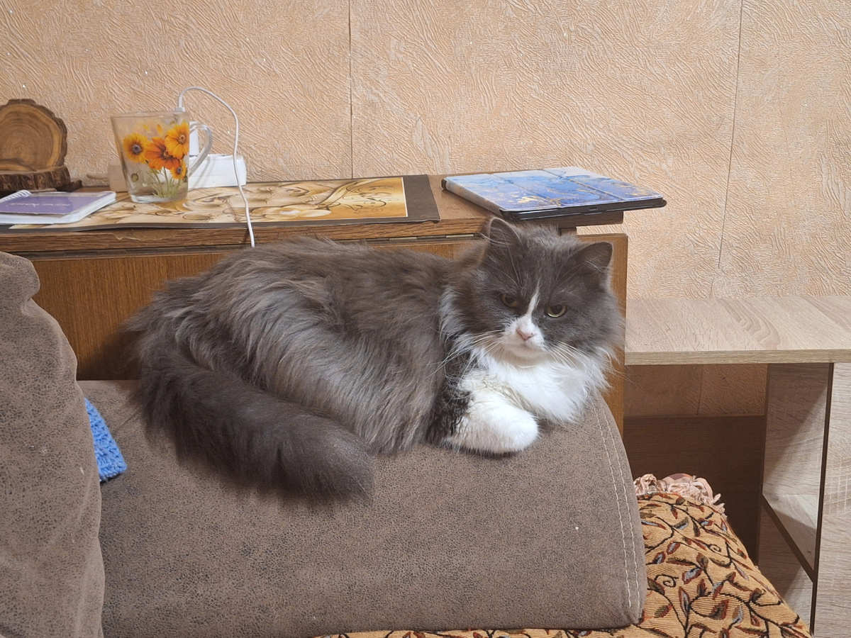 Фото автора.