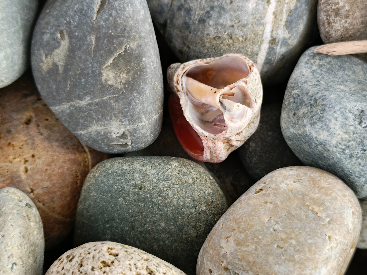 Адлер, февраль 206 года