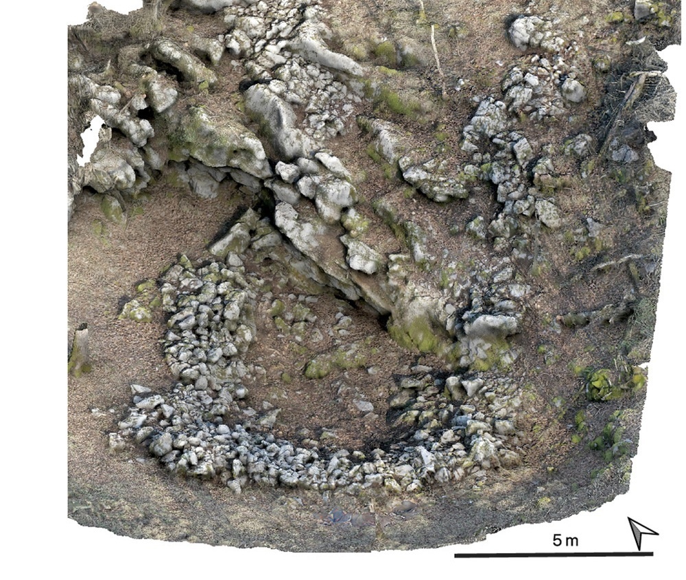     Фото: Proceedings of the National Academy of Sciences.