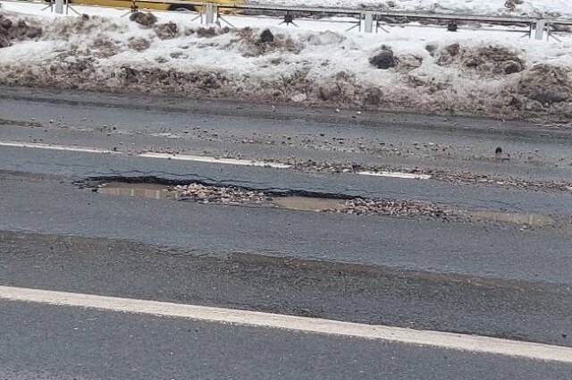    Фото: АиФ в Туле/ Алексей Мурат