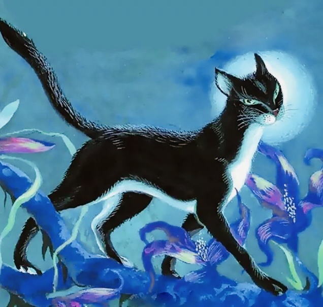 Картинка из интернета