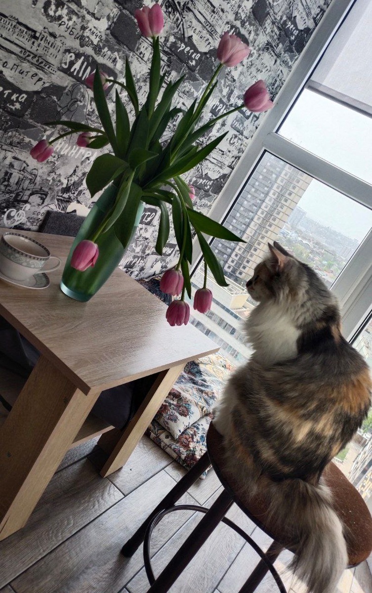 Красивое и медленное утро