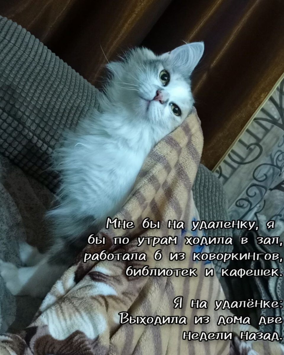 Еще одна сторона дистанционки