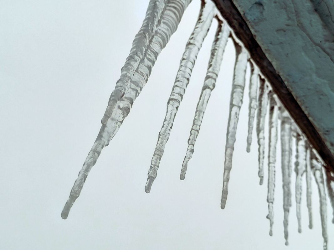    Фото: Олег Чиркашенко