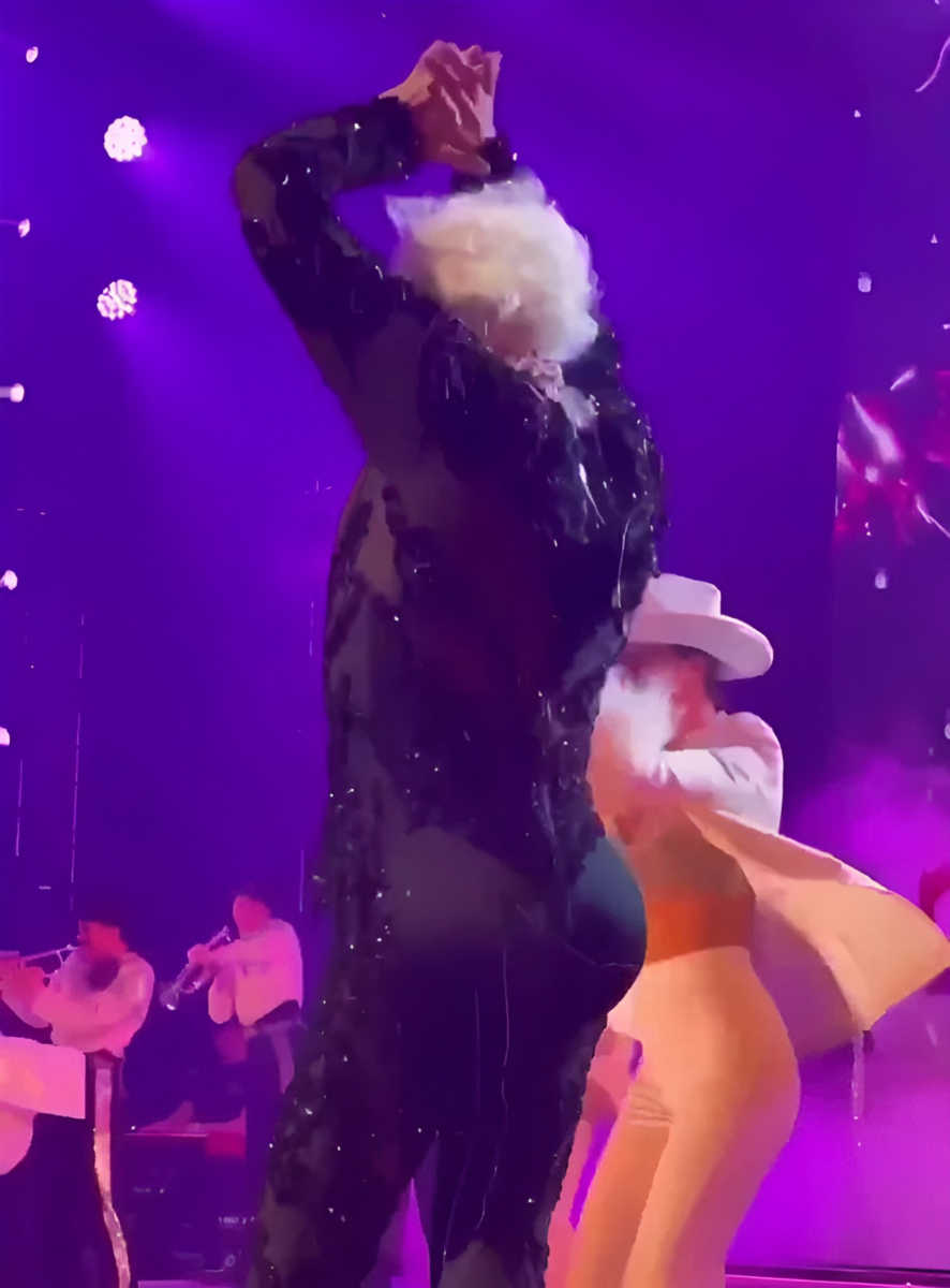 Киркоров на концерте, фото