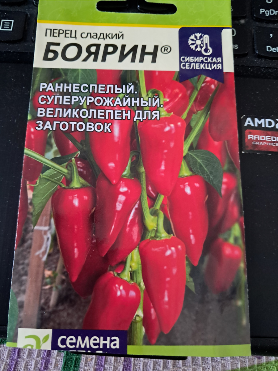 фото от Ауры -автора канала