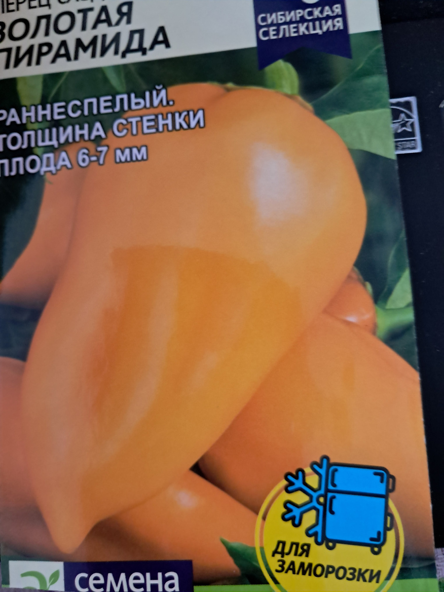 фото от Ауры -автора канала