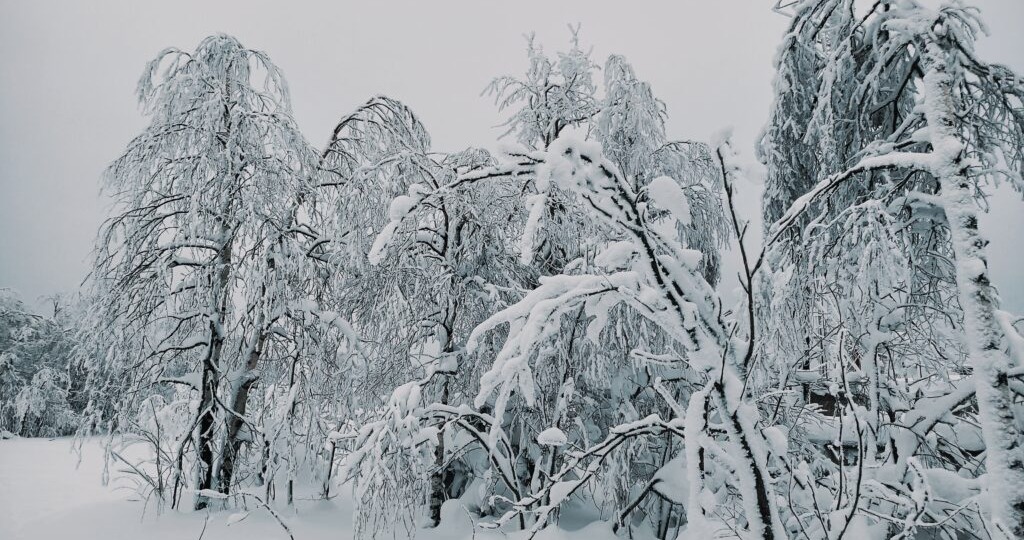 В Перми выпало самое большое количество осадков за последние 143 года
