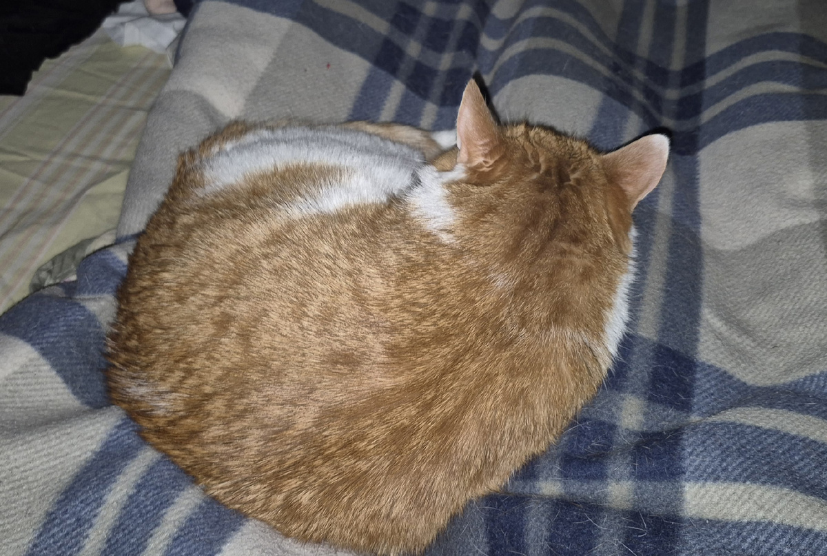 это мы спать ложились