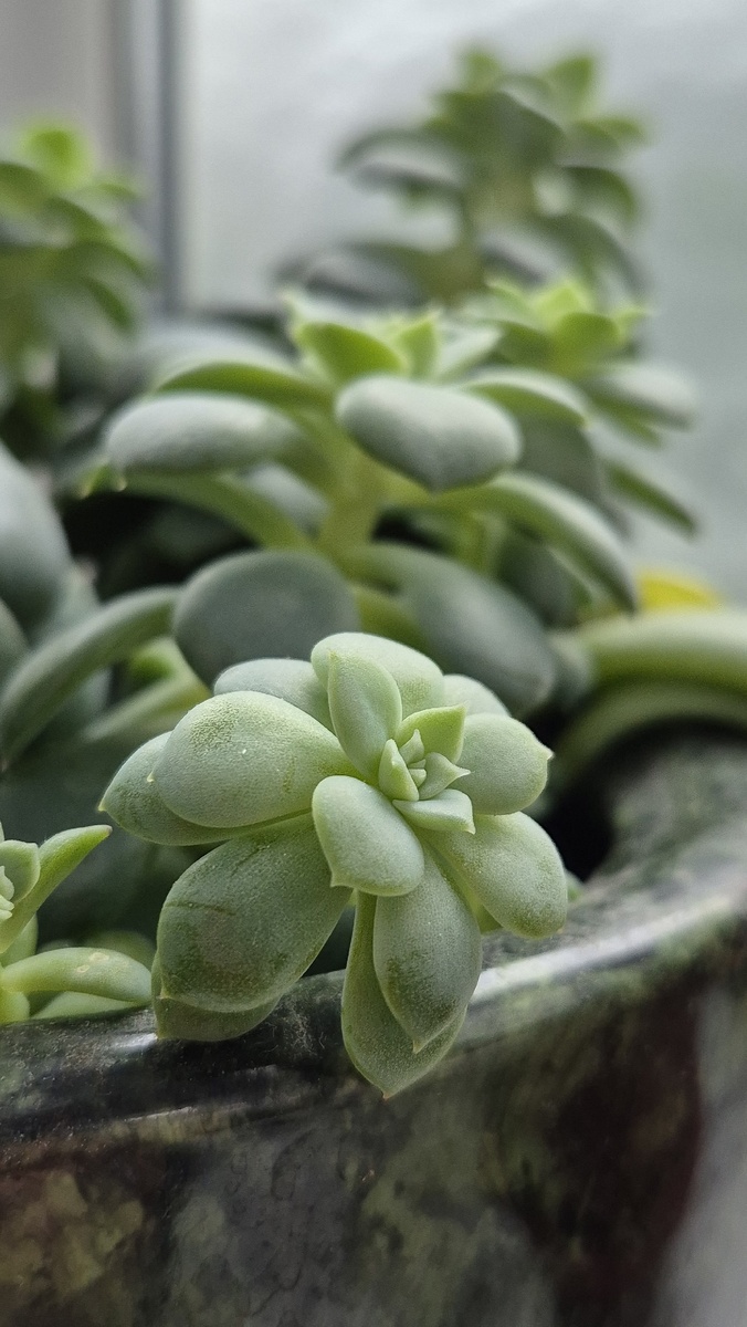 в самом помещении красиво и растения