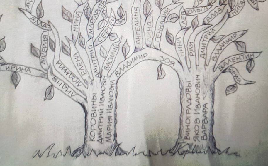 Зарисовка генеалогического древа из семейного архива