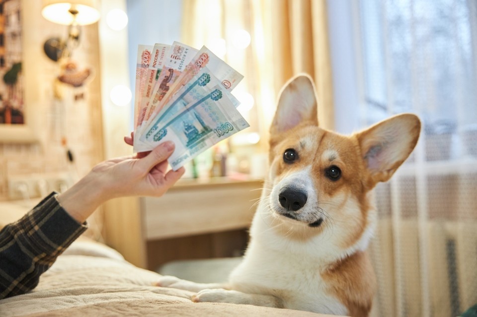    Россияне накопили «под подушкой» рекордную сумму Николай ОБЕРЕМЧЕНКО