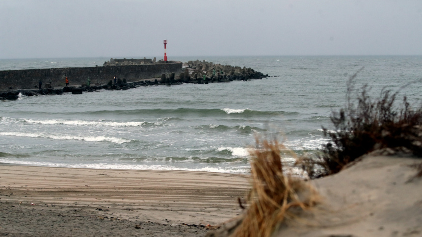    Фото: ИЗВЕСТИЯ/Александр Казаков