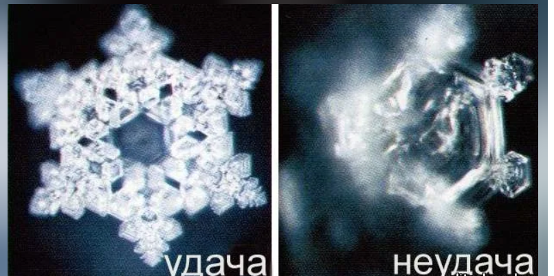 листаем галерею -->