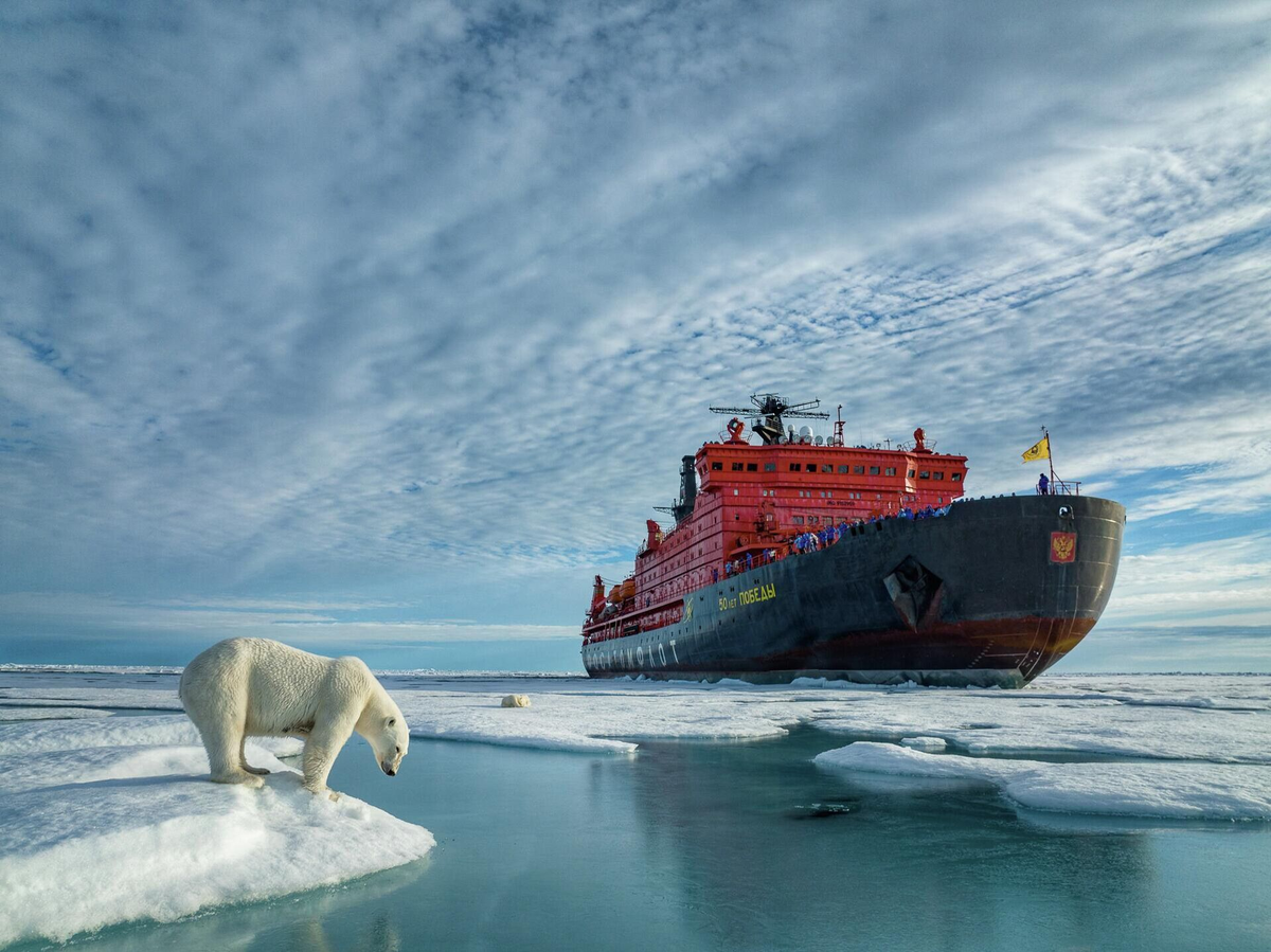 Источник фото: РИА