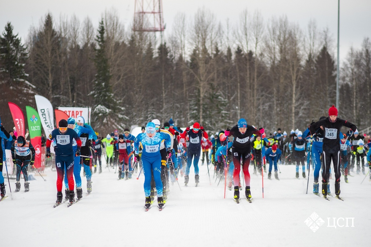    фото: © Центр спортивной подготовки / VK