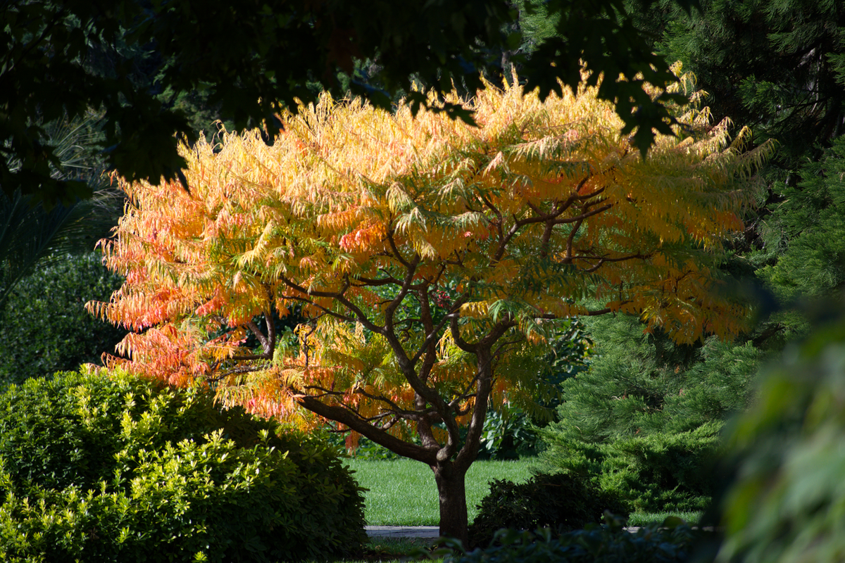 Партенит. Большая Ялта. Осень. Фото Сергея Малышева.