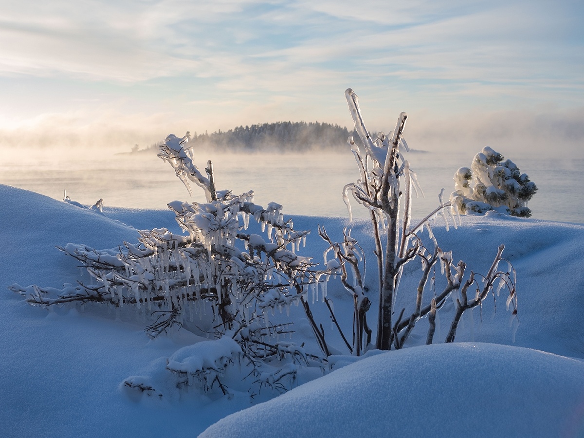    фото: © Игорь Подгорный