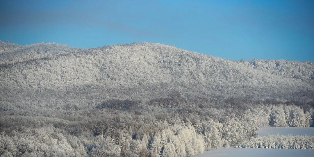 Профессор назвал два сценария развития поисков Усольцевых