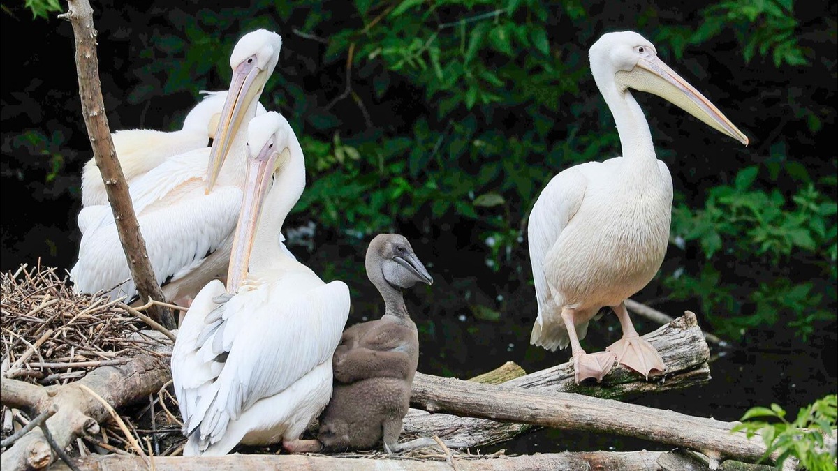    Источник: Пресс-служба Департамента культуры города Москвы