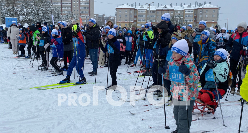    Фото: progorod43.ru