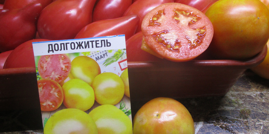Я в шоке! Томат Долгожитель пролежал у меня полгода в комнатных условиях! Сохранил сочность и приобрел томатный вкус!