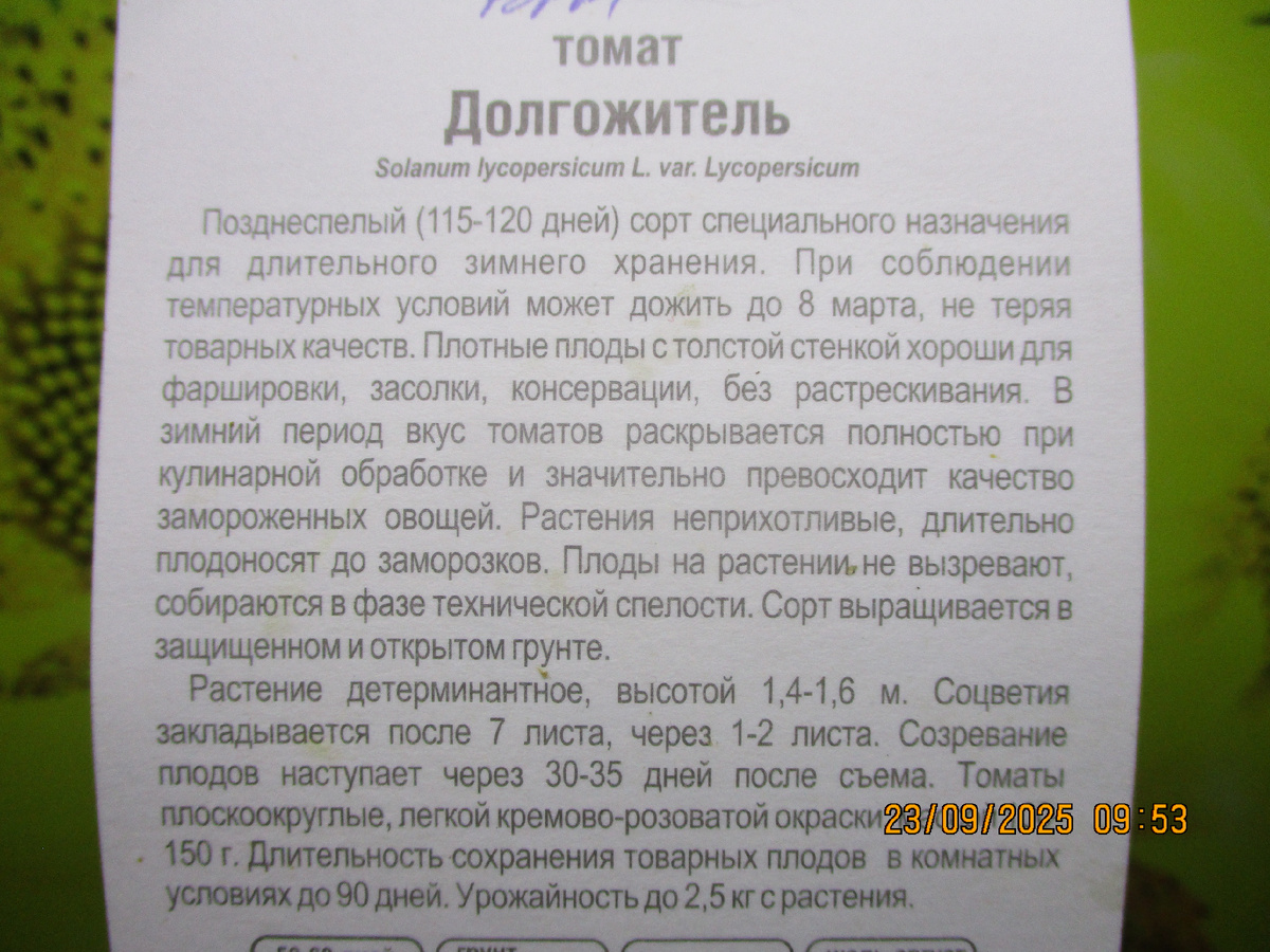 Томат Долгожитель. №718 в Каталоге на будущий год.