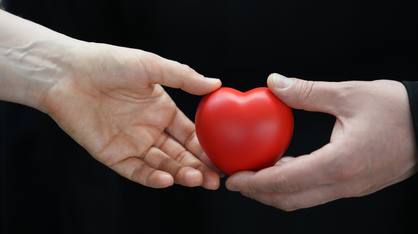    Фото: ИЗВЕСТИЯ/Дмитрий Коротаев