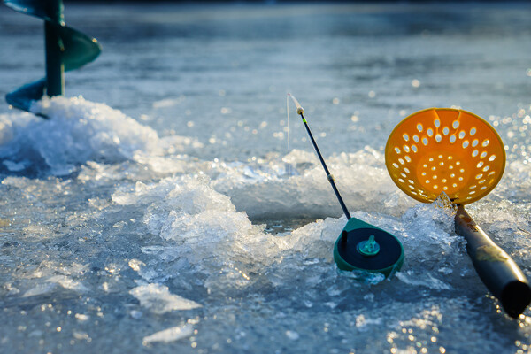 Alexander Lukatskiy/Shutterstock/FOTODOM   📷