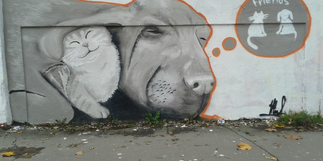 Лицензии на фото для блогеров: гайд по Creative Commons и стокам, чтобы не платить штрафы