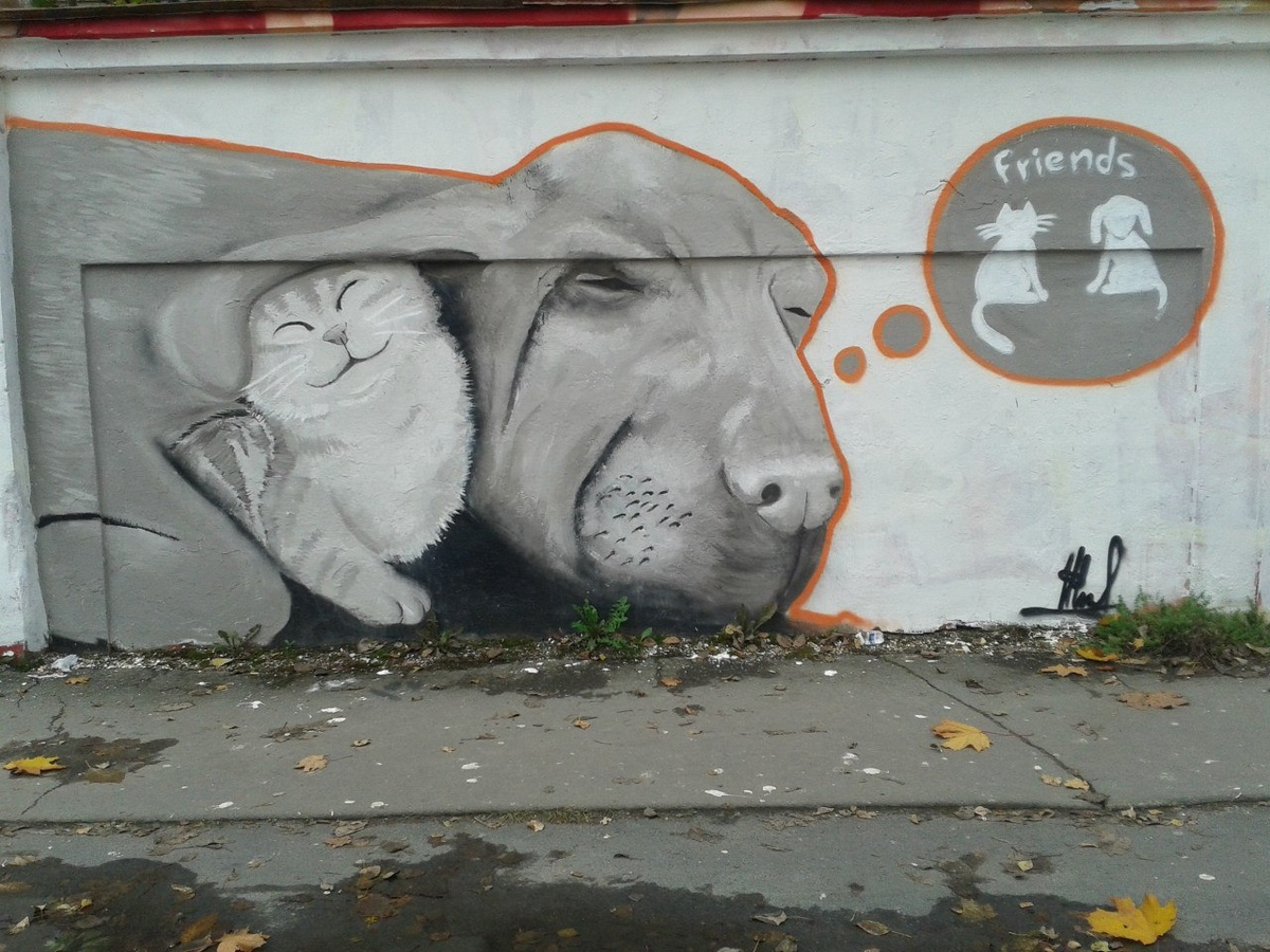 CC BY-NC   ©Ирина Викторовна, 2015 "Утраченное граффити. Петрозаводск".