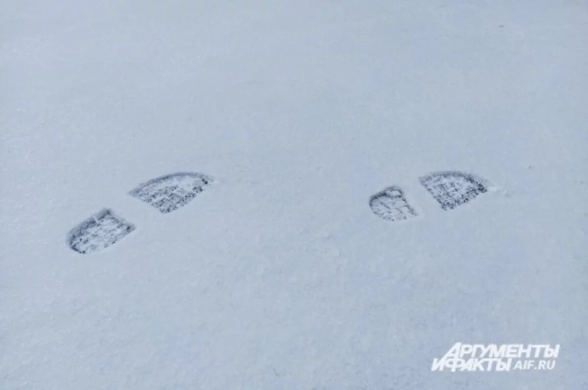    Сразу трое подростков пропали в Алтайском крае