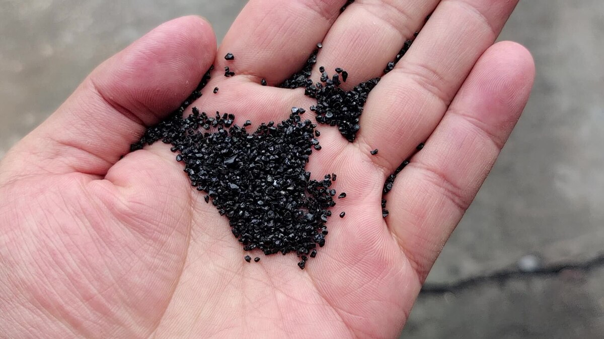 семена лука