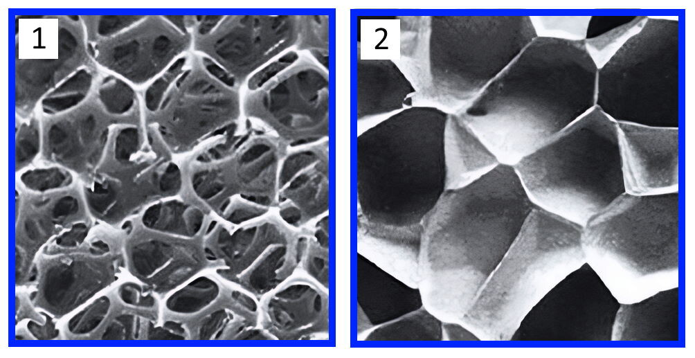 Пенополиуретан под микроскопом: 1 - открытая ячейка, 2 - закрытая ячейка. Рельефная фактура поверхности позволяет клею хорошо сцепляться с материалом