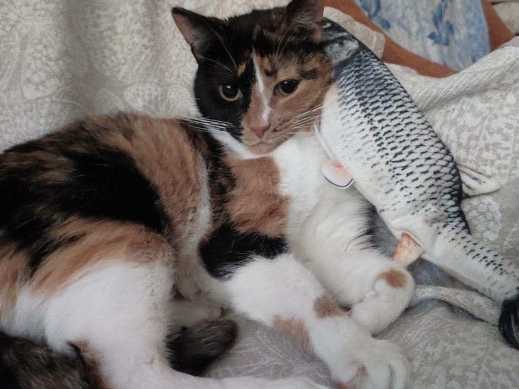     Фото: Архив МК в Ленобласти.